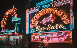 Wild Wonders: Stunning Animal Neon Signs for Every Space