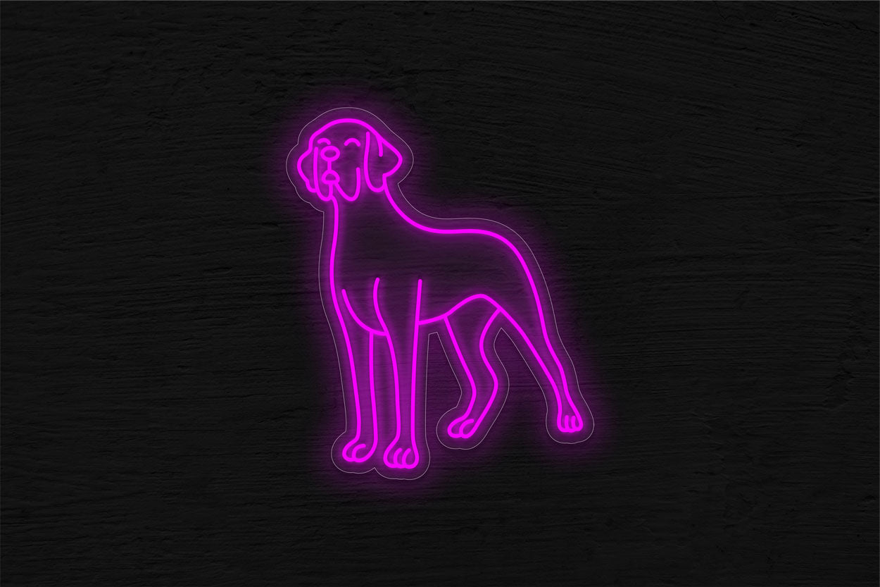 Great Dane Dog LED Neon Sign