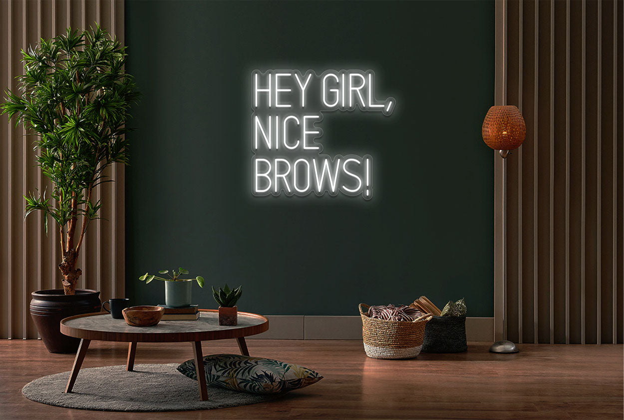 Hey Girl, Nice Brows LED Neon Sign