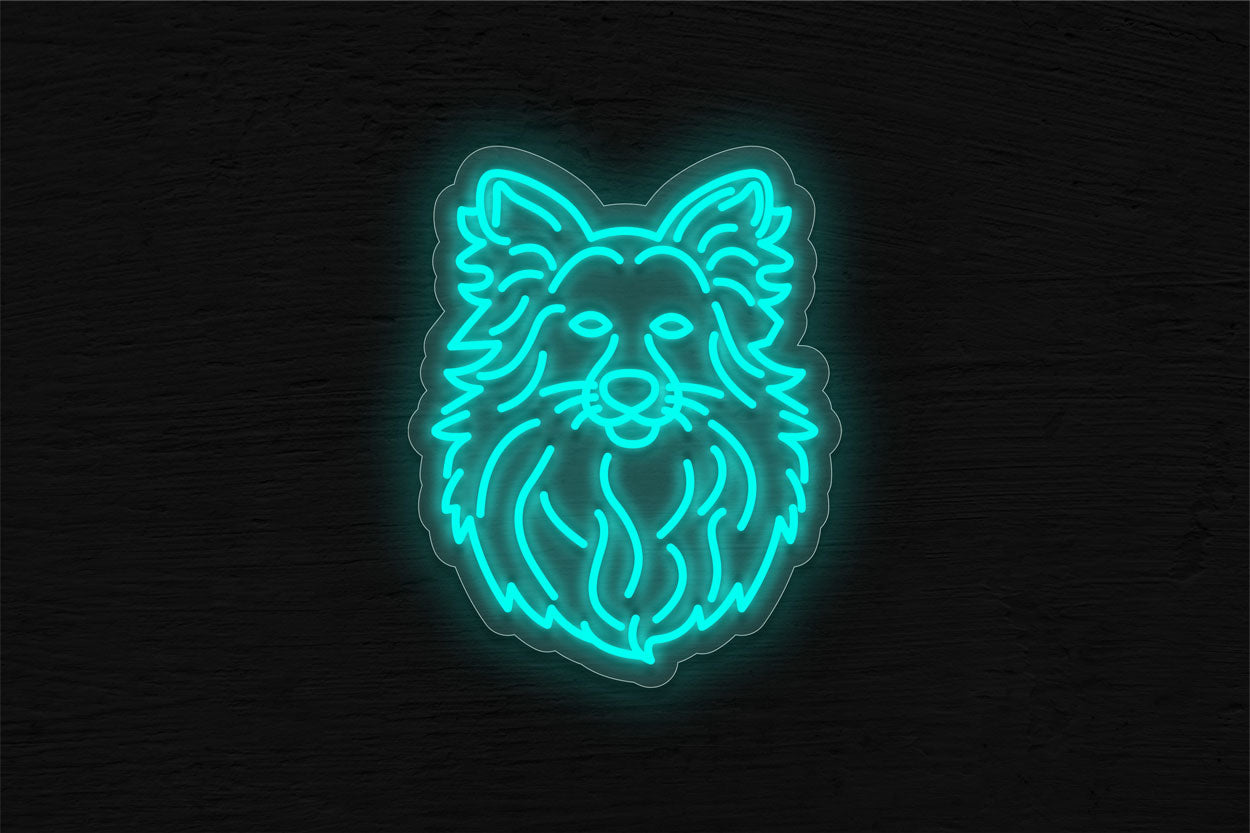 Shetland Sheepdog LED Neon Sign